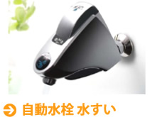 自動水栓 水すい